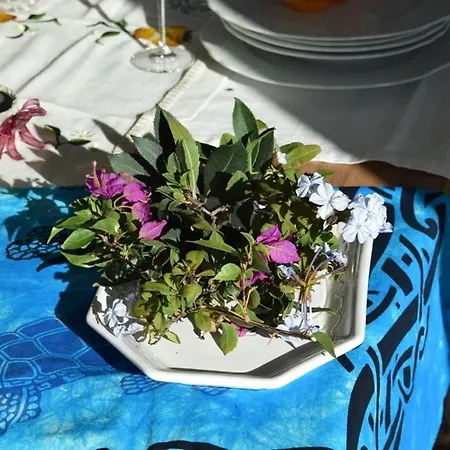 Moon - Con Bagno Privato E Spazi Comuni Con Altri Ospiti